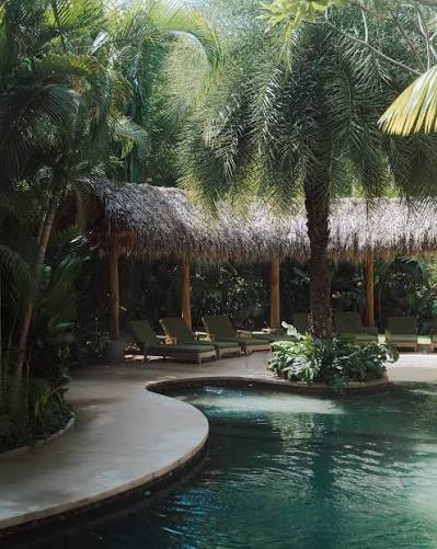 Loungers under the palapas by the pool